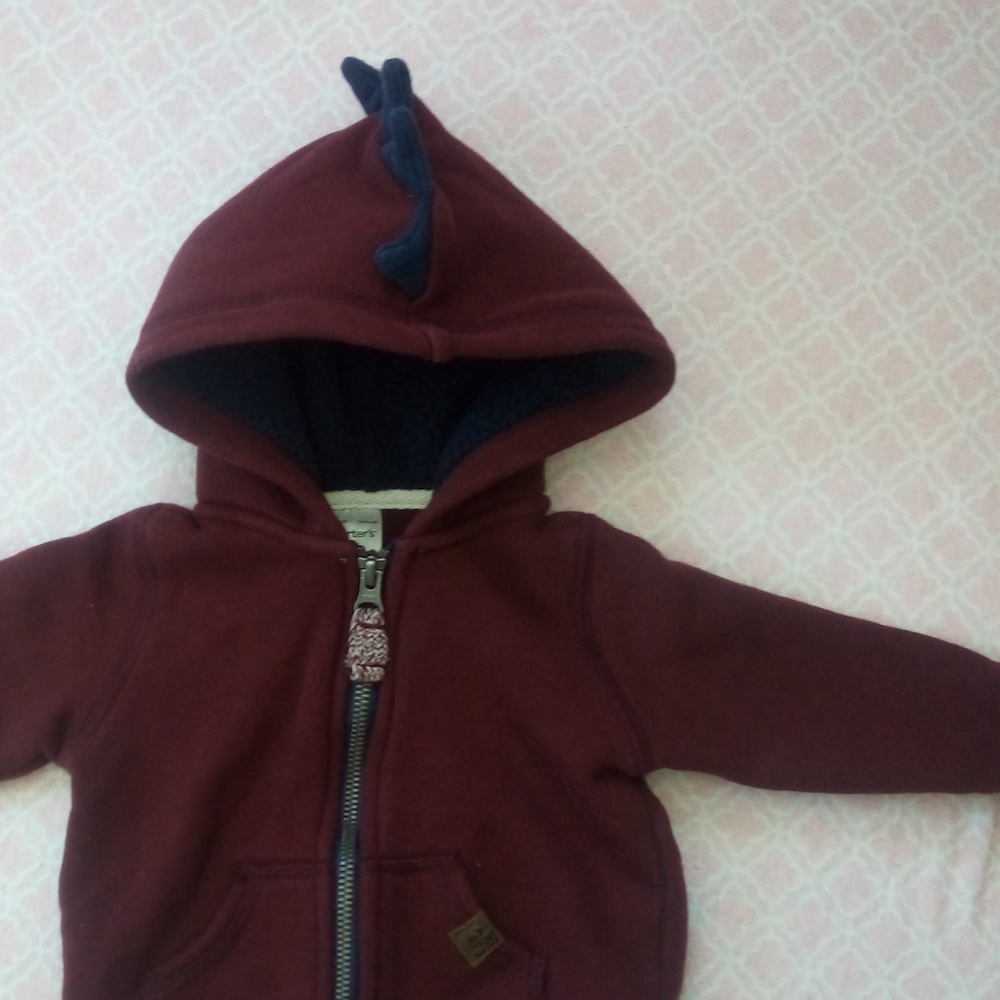 Baby Dino🦖 Hoodie 9M